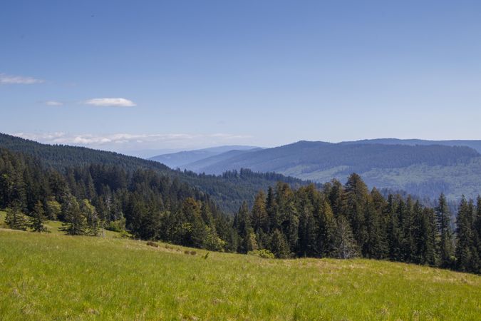 Rolling mountains on clear day seen from a green field