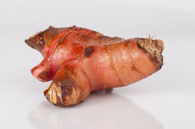 Red Ginger