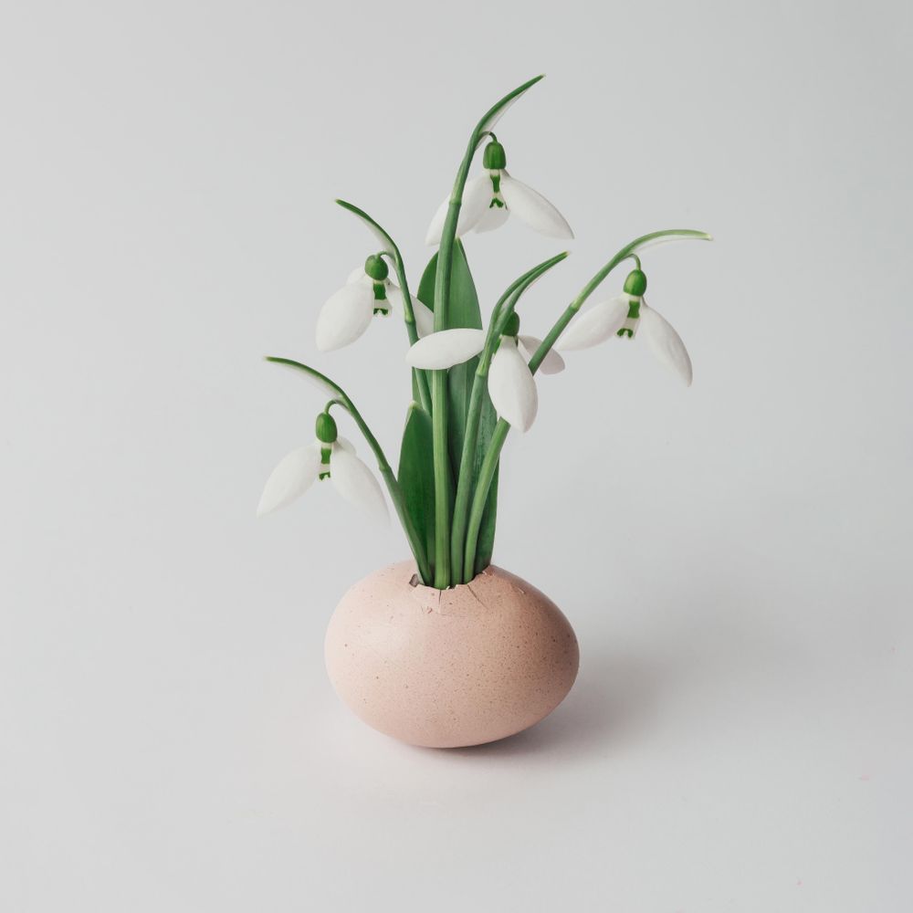 Vase of snowdrop flowers on bright background