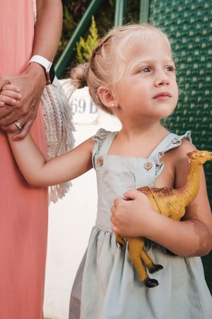 Cute girl in dress with toy