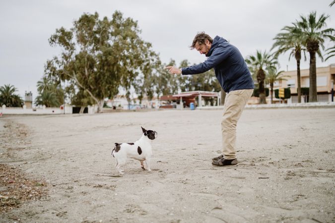 Owner playing with dog on beach