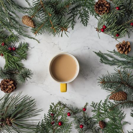 Winter foliage with pine cones bordering marble background with milky tea