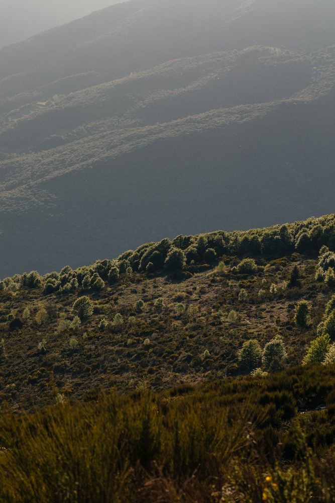 Beautiful mountain landscape