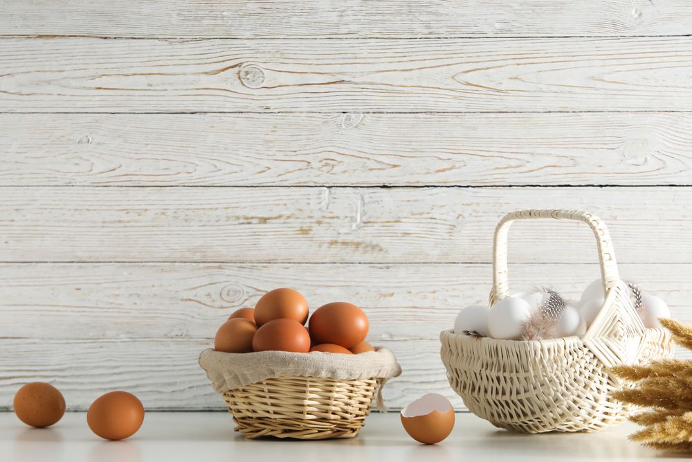 Concept of fresh and natural farm product - eggs, space for text