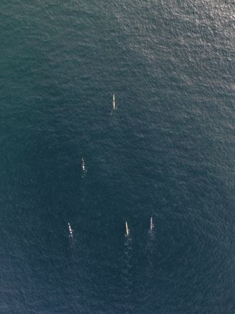 Aerial shot of group of people on kayaks in the ocean