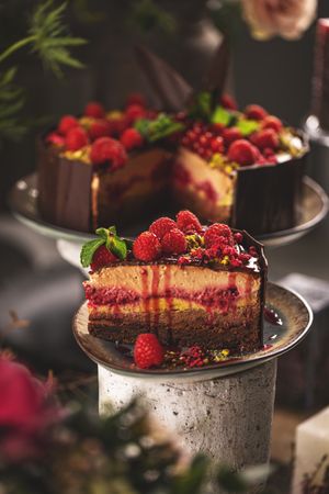 Slice of delicious layered mousse cake