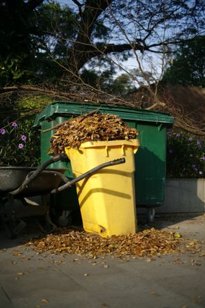 Garbage bin full of autumn leaves