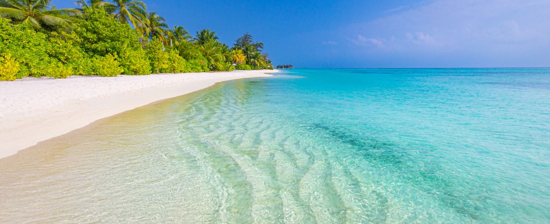 Wide shot of crystal clear waters coming up on a tropical beach with palm trees