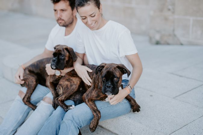 Adorable boxer dogs sitting with young people