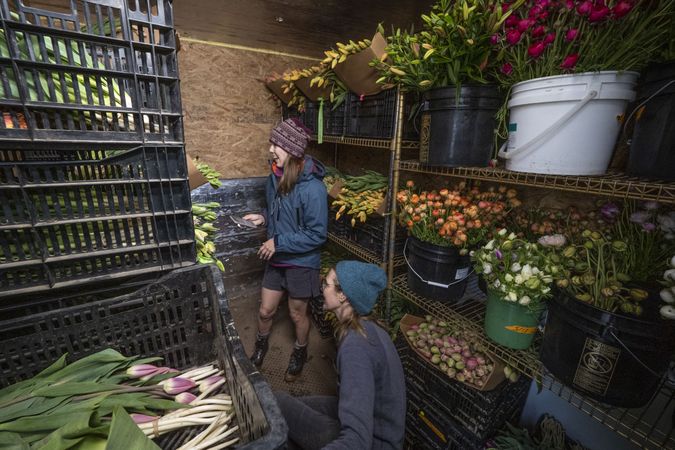 Copake, New York - May 19, 2022: Two women behind the scenes in flower shop organizer fresh plants