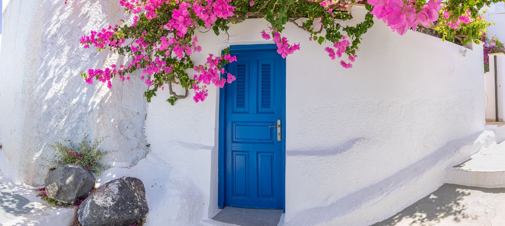 Idyllic walkway with pink flowers and blue door, wide