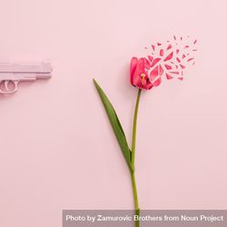 Pink gun and red tulip flower exploding on pastel pink background 56Dazb