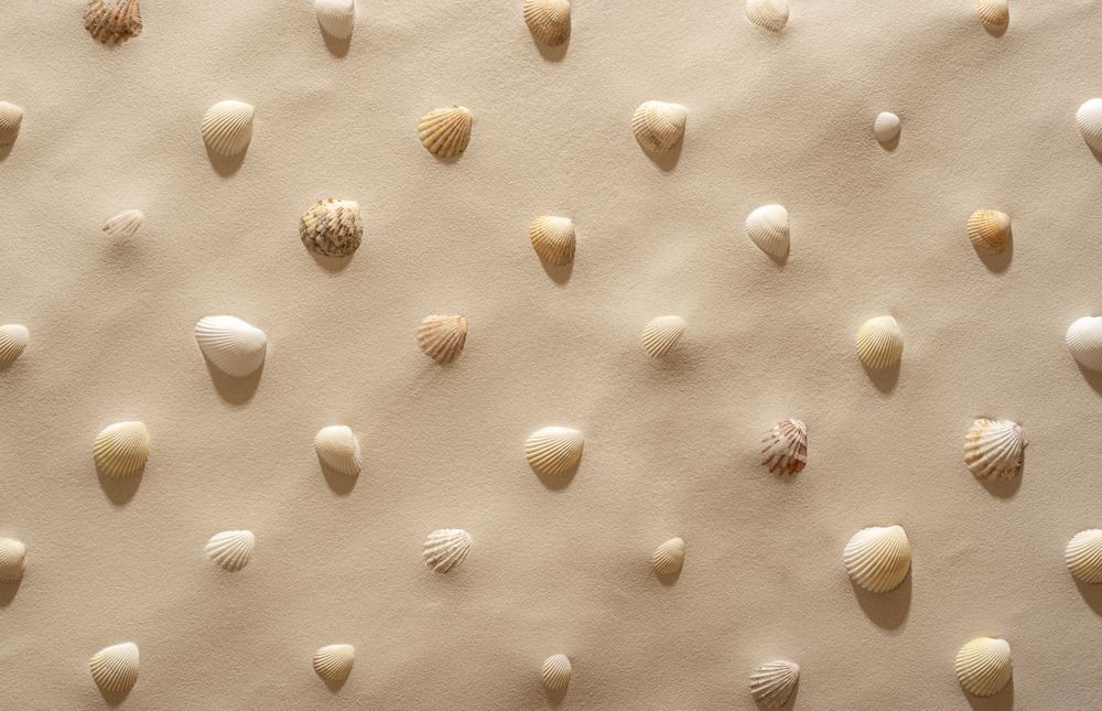 Summer background with shells and sand