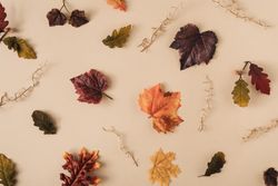 Fall leaves and gold branches on sand pastel background