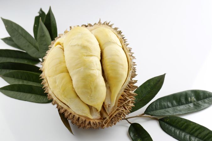 Ripe Durian on Table