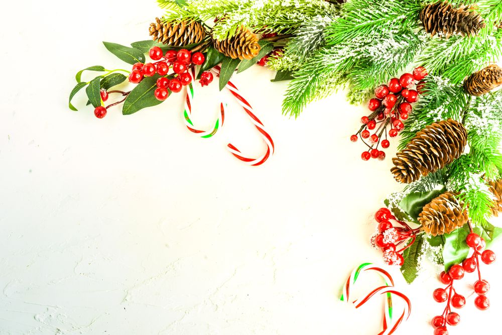 Bright Christmas table with branches and pine cones