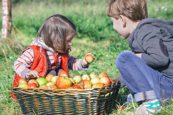 Children holding organic apple from basket