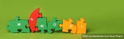 Puzzle pieces spelling “memory” on green background, wide bY9mXb