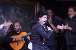 Flamenco performance on stage