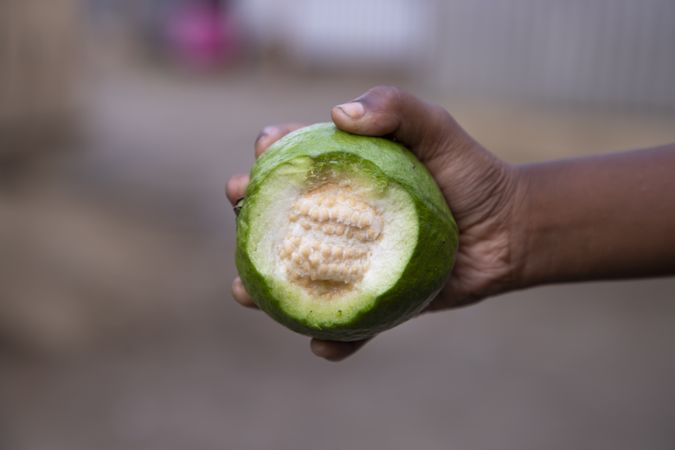 Hand-holding bite  of guava fruit with Shallow depth of field