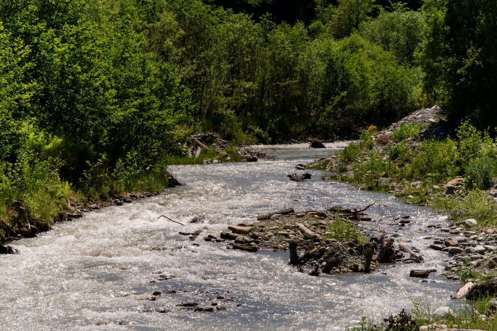 Flowing river with lush green vegetation