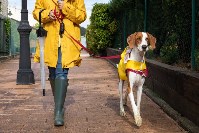 Woman walking with dog in cloak in street