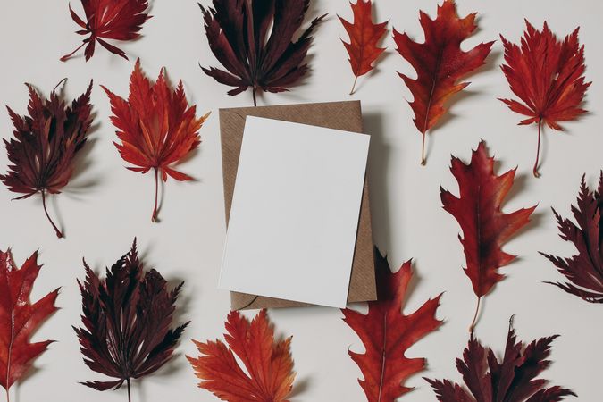 Blank paper card in enter of red autumn leaves