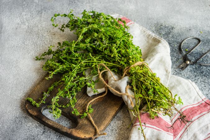 Fresh green herbs on cutting board