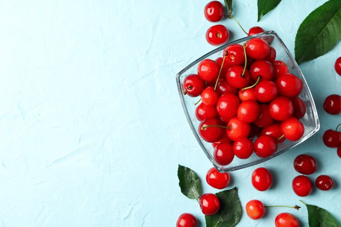 Bowl with red cherry on blue background, top view