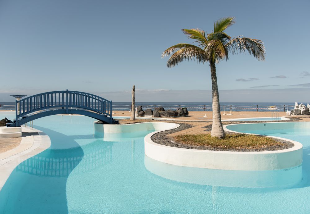 Palm and bridge over pool