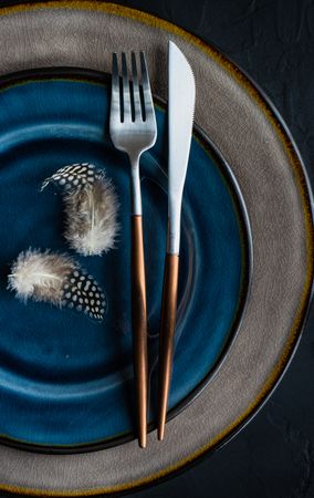 Rustic table setting with navy plate and decorative feathers