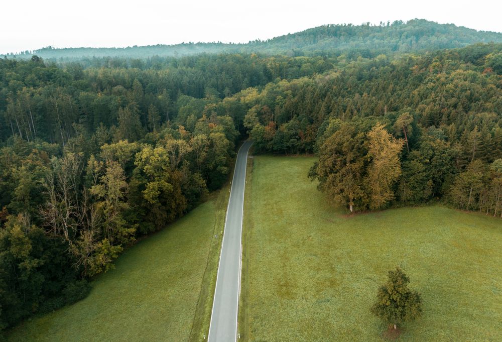 Drone shot with road going into the Forest, Germany