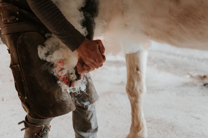 Crop blacksmith putting horseshoe on hoof