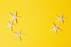 Starfishes on yellow background, space for text