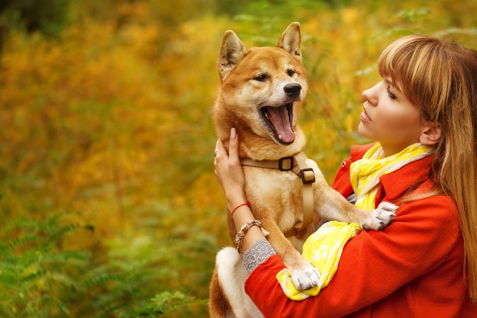Female in red coat looking at her cute shibu dog as he barks standing in field