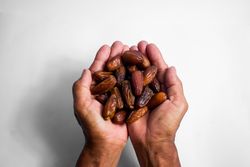 Hand hold date fruit on isolated plain background
