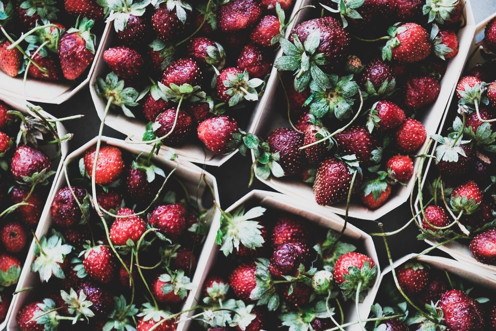 Strawberries in eco-friendly plastic-free boxes, diagonal close up