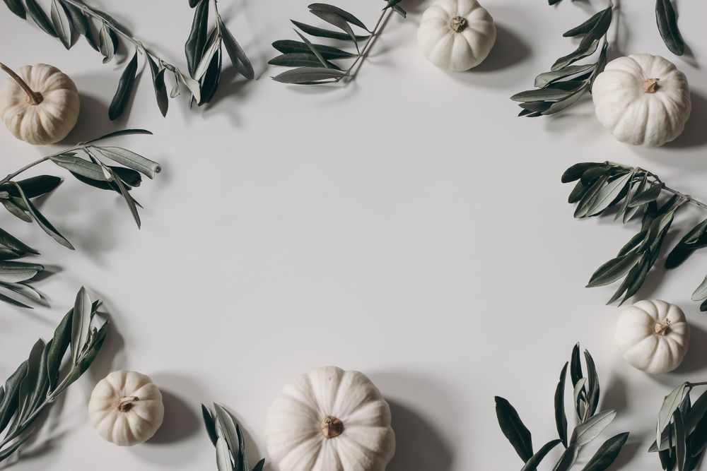 Blank paper with frame of decorative pumpkins