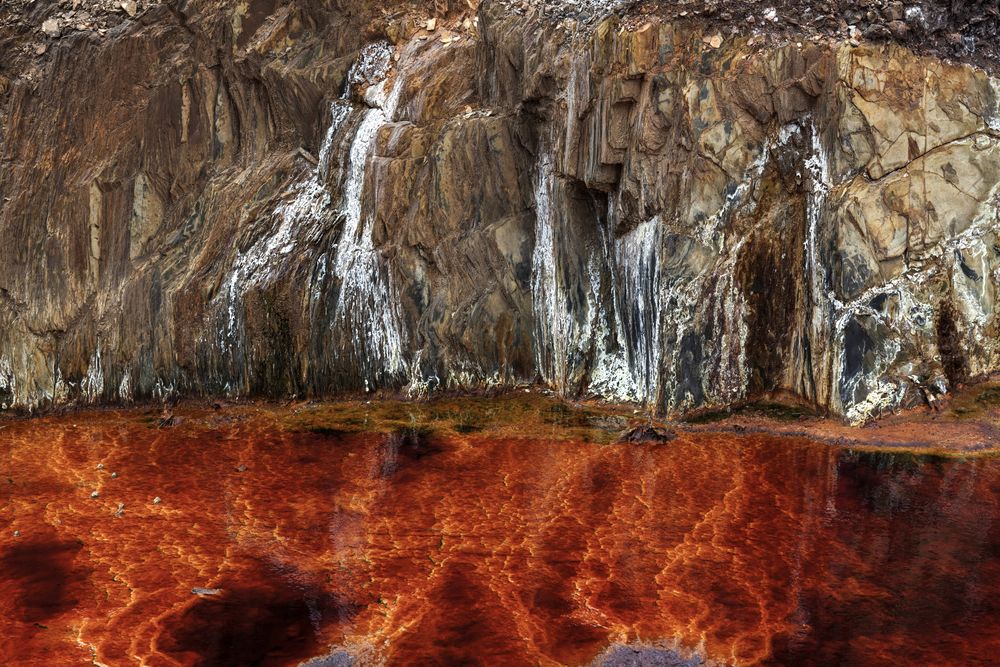 Bright orange splashes in nature
