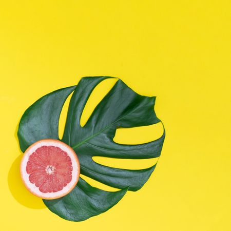 Monstera leaf with red grapefruit on bright yellow background