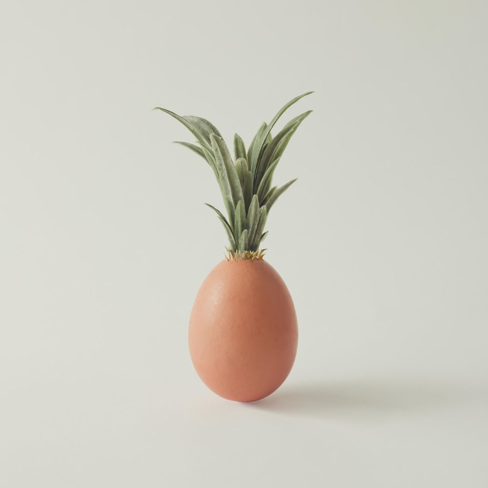 Egg with leaves making pineapple top