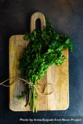 Cilantro herb on wooden cutting board with copy space 5RVK1R