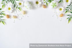 Daisies and eggs on light background 0Wxq65