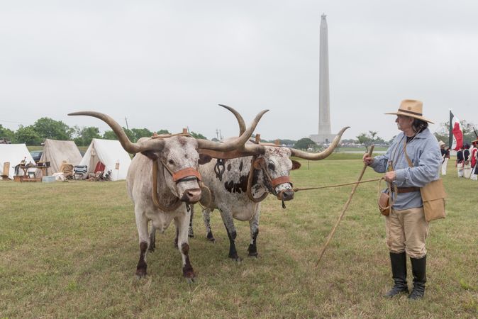 Larry Heidbreder and Texan longhorns at the annual Battle of San Jacinto Festival, Texas