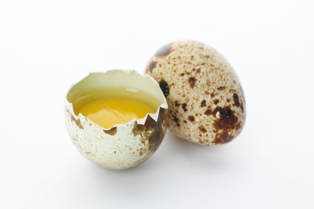 Quail egg and half yolk isolated on light background