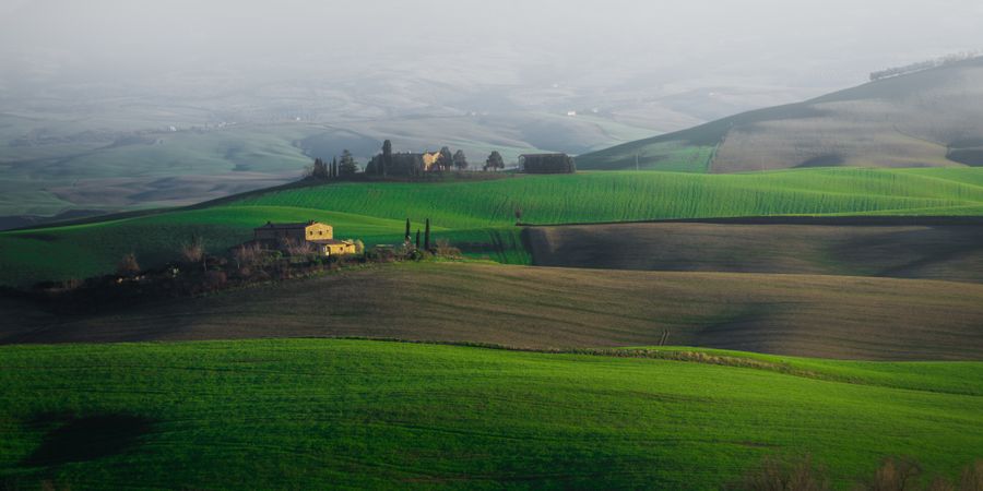 Wonderful empty green fields