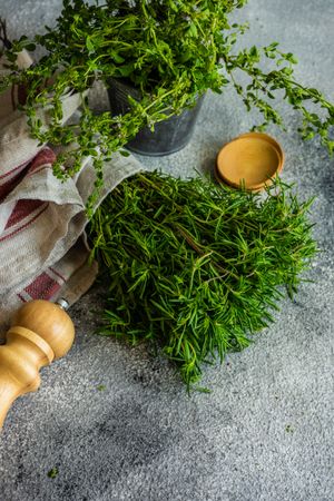 Fresh green herbs on counter