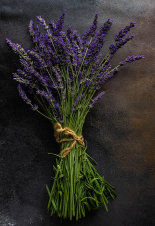 Bunch of fresh lavender flowers on counter
