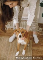 Woman and a beagle dog standing on a wooden floor 48XxR4