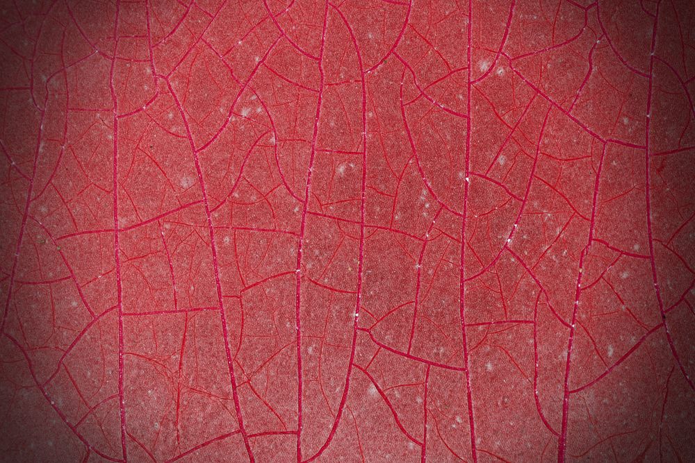 Close up red craked texture background